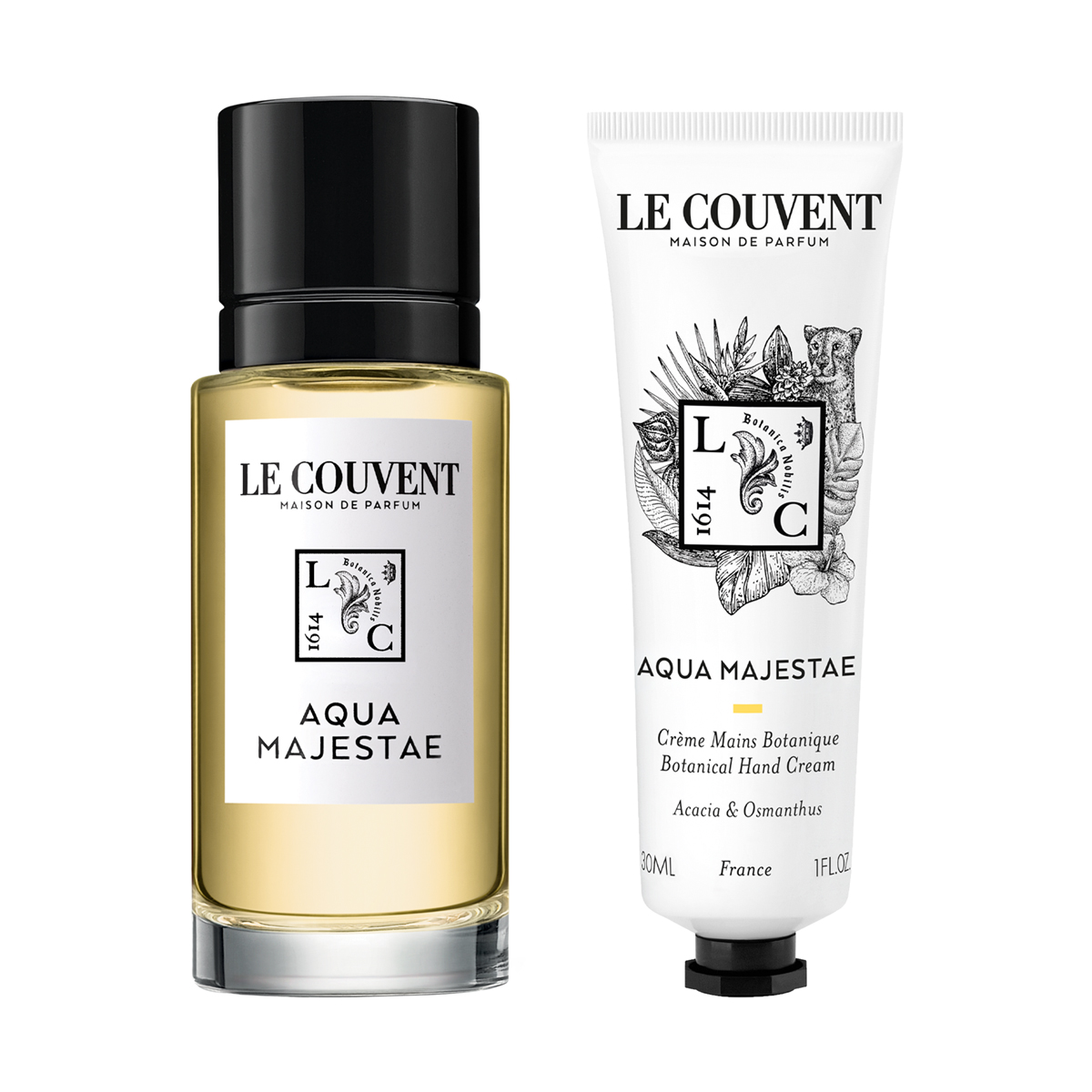 【ウィンターデザイン】アクアマジェスタエ　コレクション