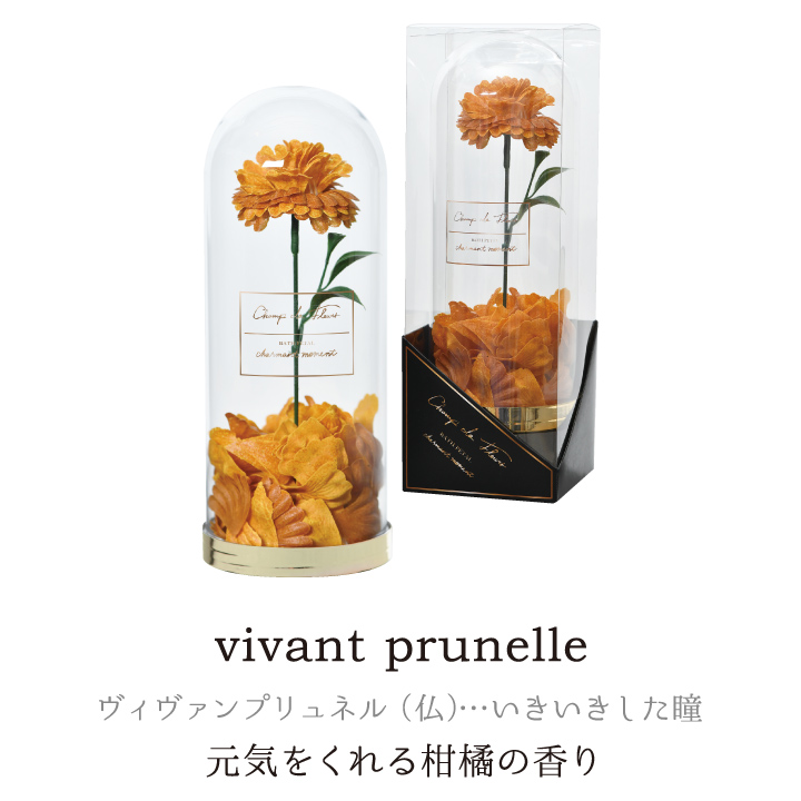 ボックスバスペダル シャルマンモアン