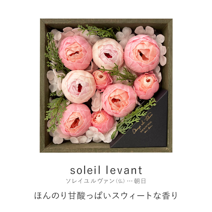 ボックスバスペダル オン・ボワ