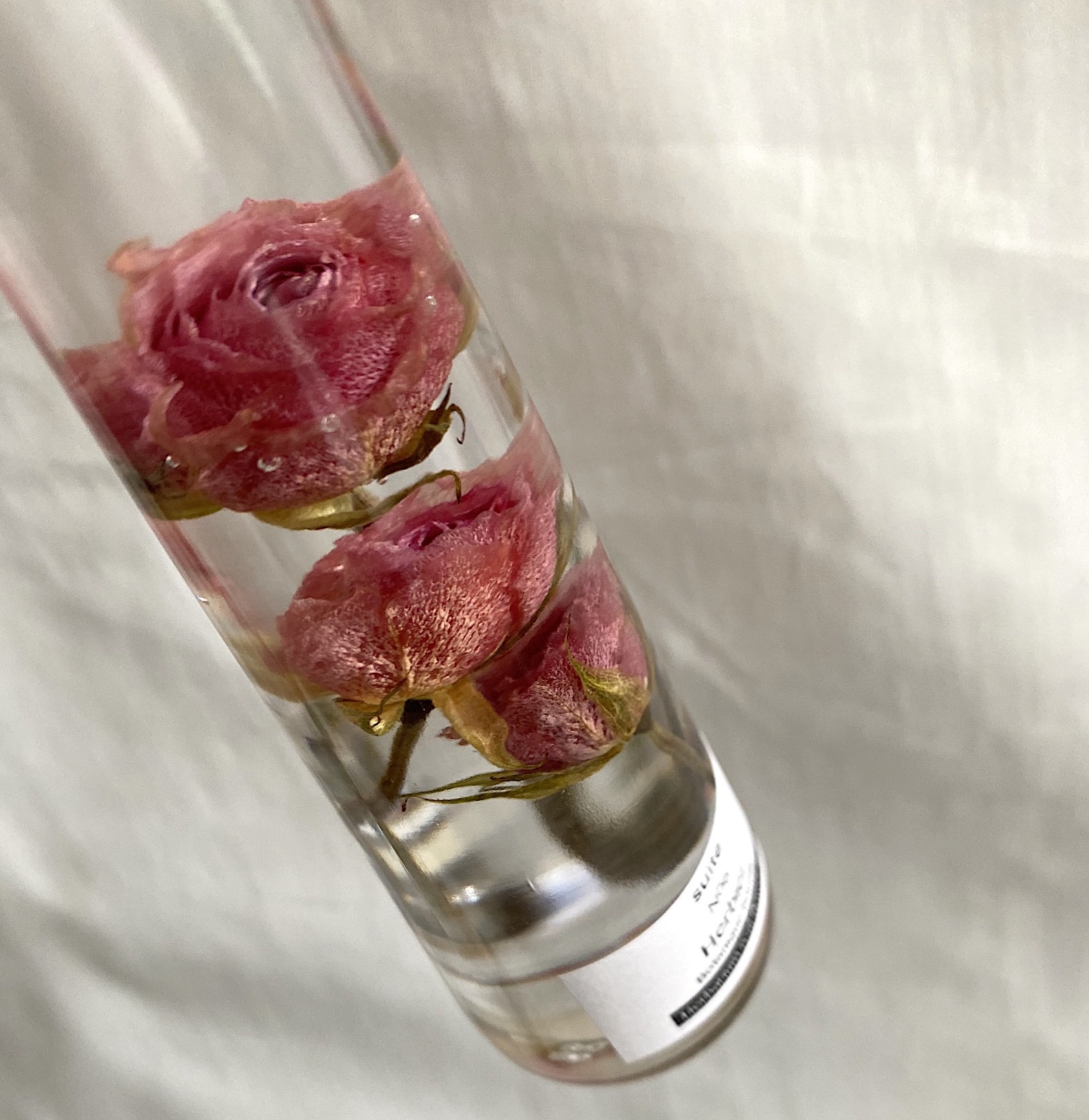 ハーバリウム Rose Herbier