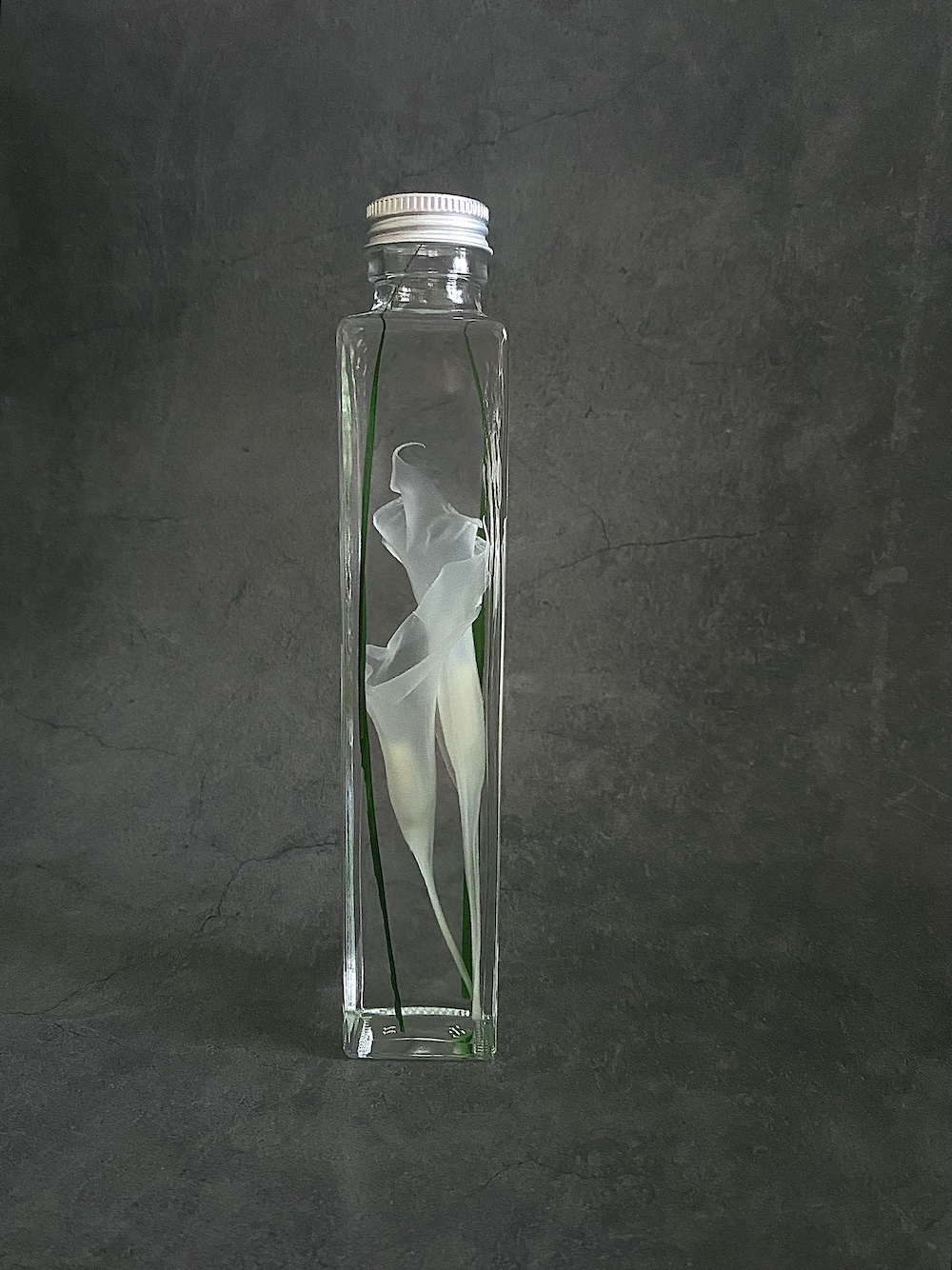 ハーバリウム Colla lily Herbier