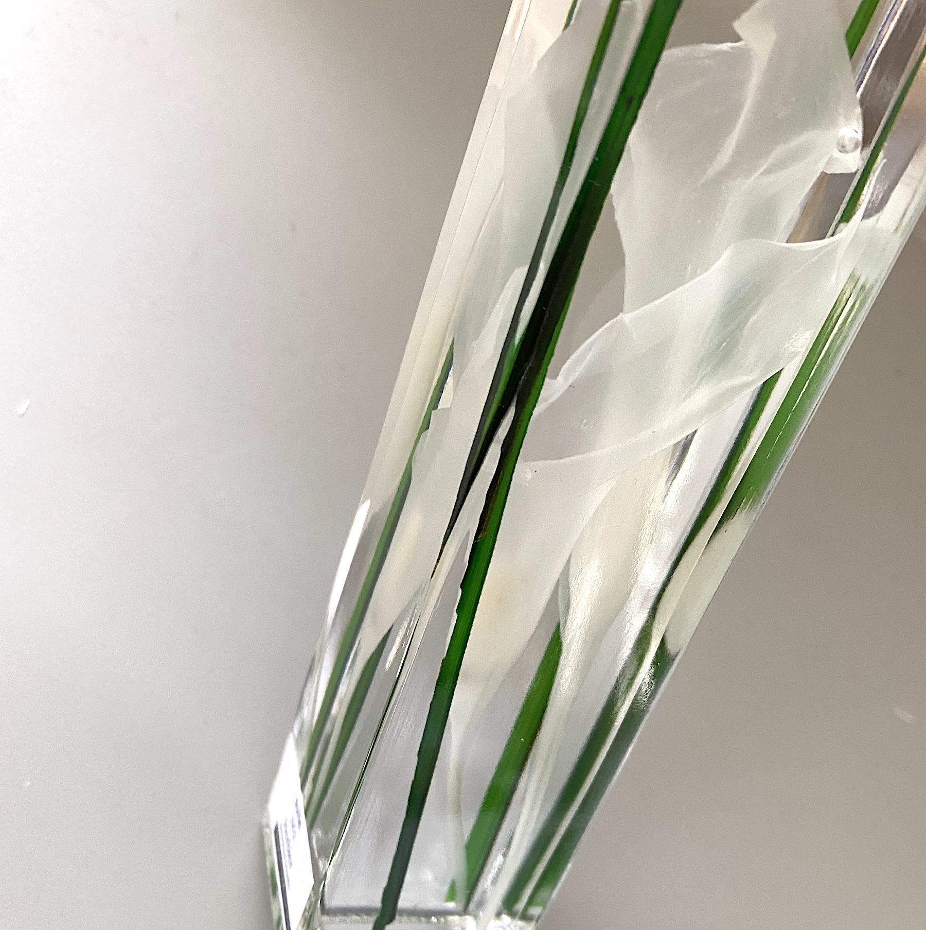 ハーバリウム Colla lily Herbier