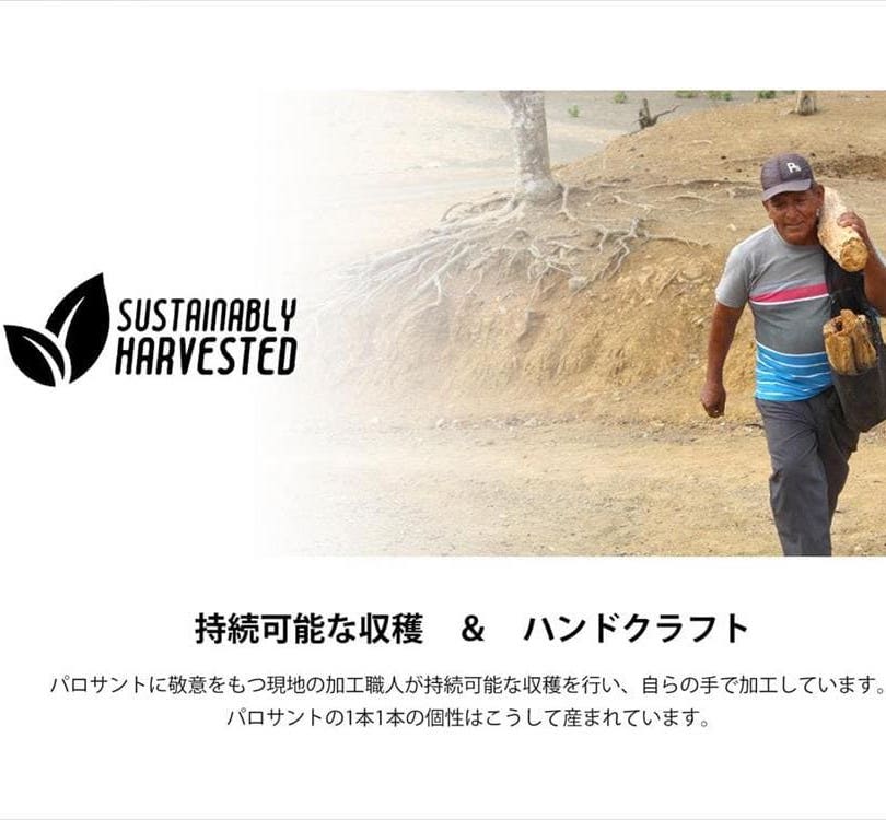 パロサント 耐熱トレイ付き