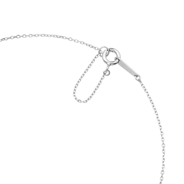 【名入れ】揺れる誕生石ネックレス&オルゴールケースセット