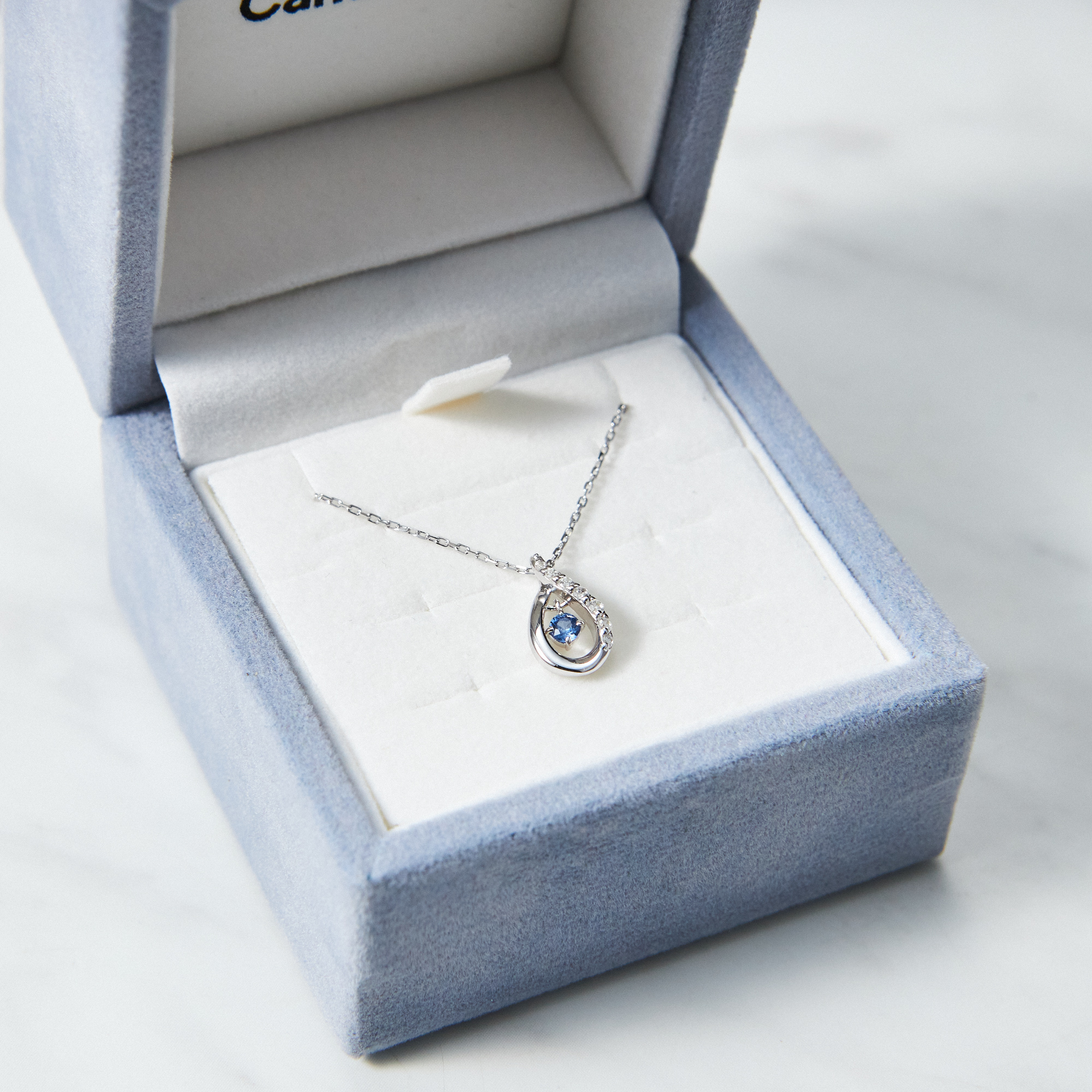 【名入れ】揺れる誕生石ネックレス&オルゴールケースセット