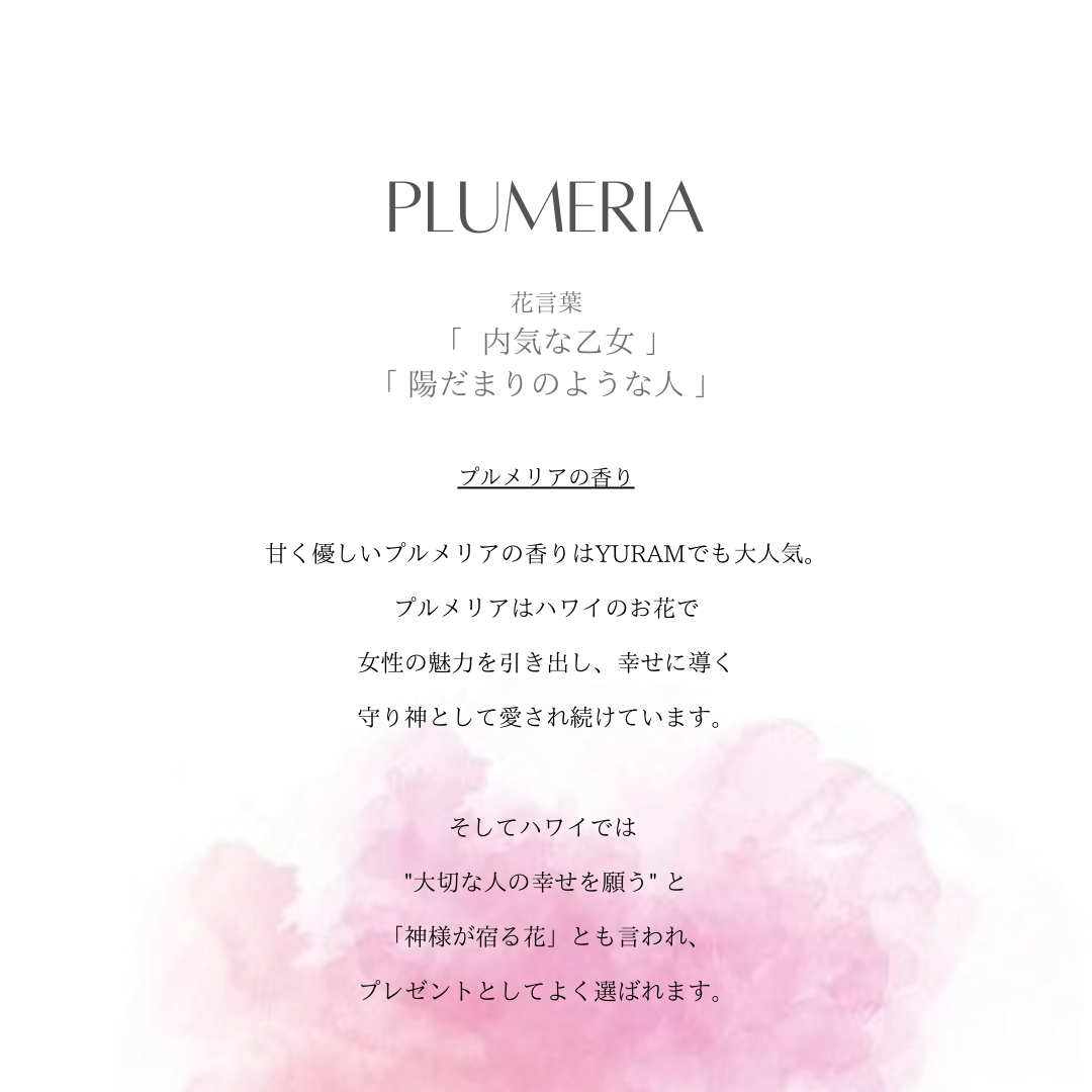 Bottle fragrance SET