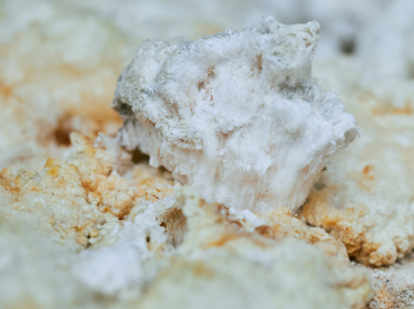 どうぶつブランケット＋入浴剤