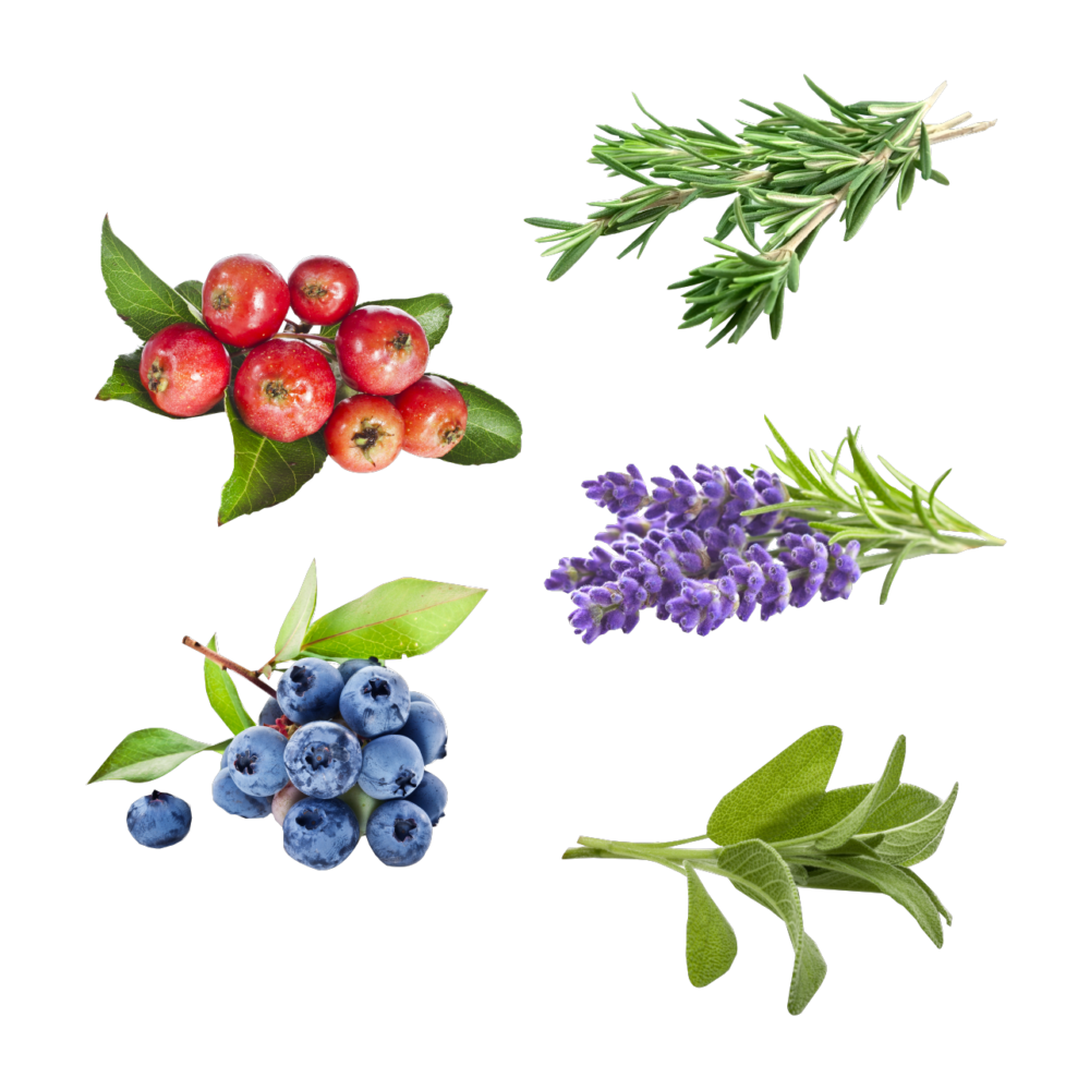 オーガニックフレグランスインティメイトソープ