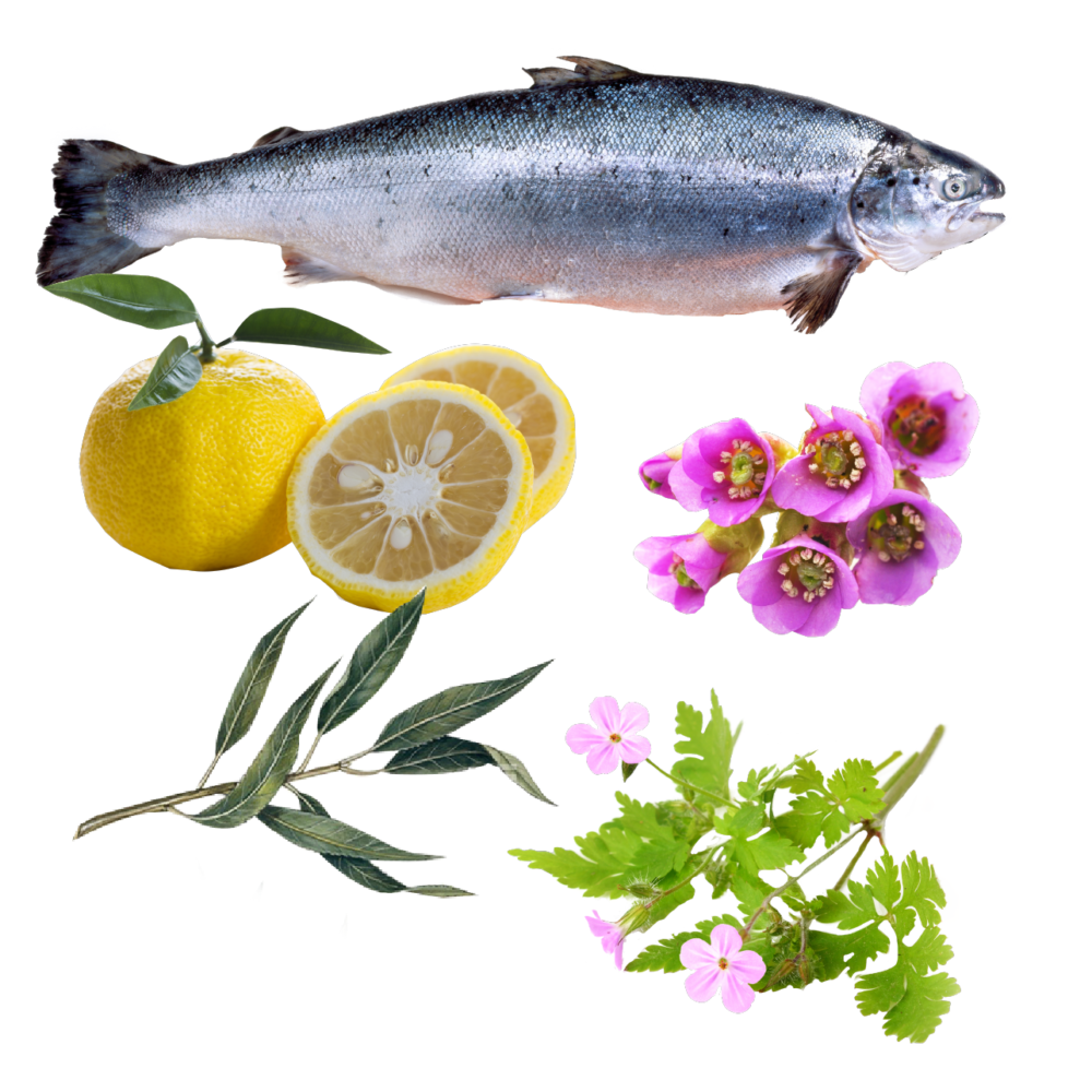 オーガニックフレグランスクッションスクラブ