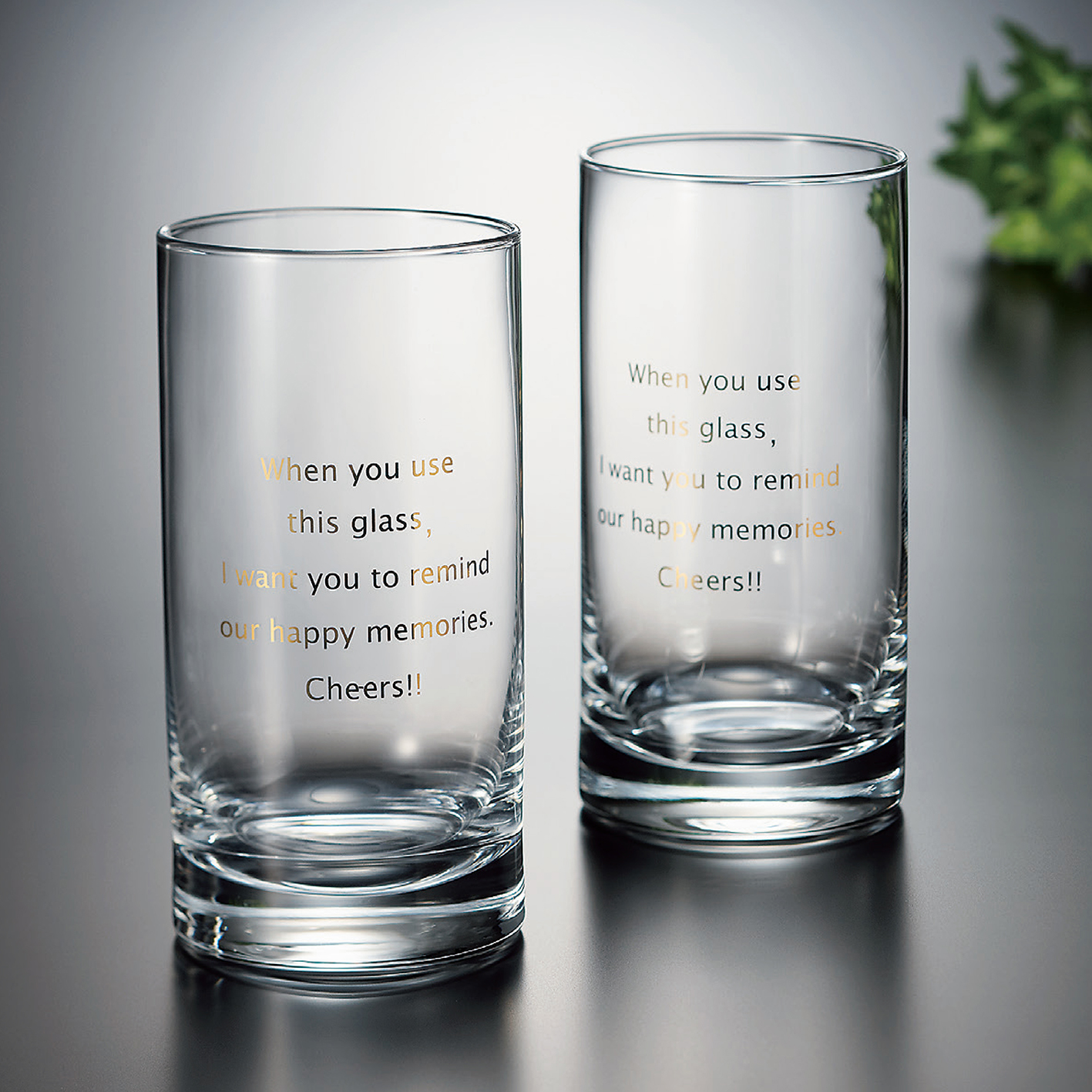 グラス＋世界のビール専門カタログギフト＜ランダー＞FM-01-017