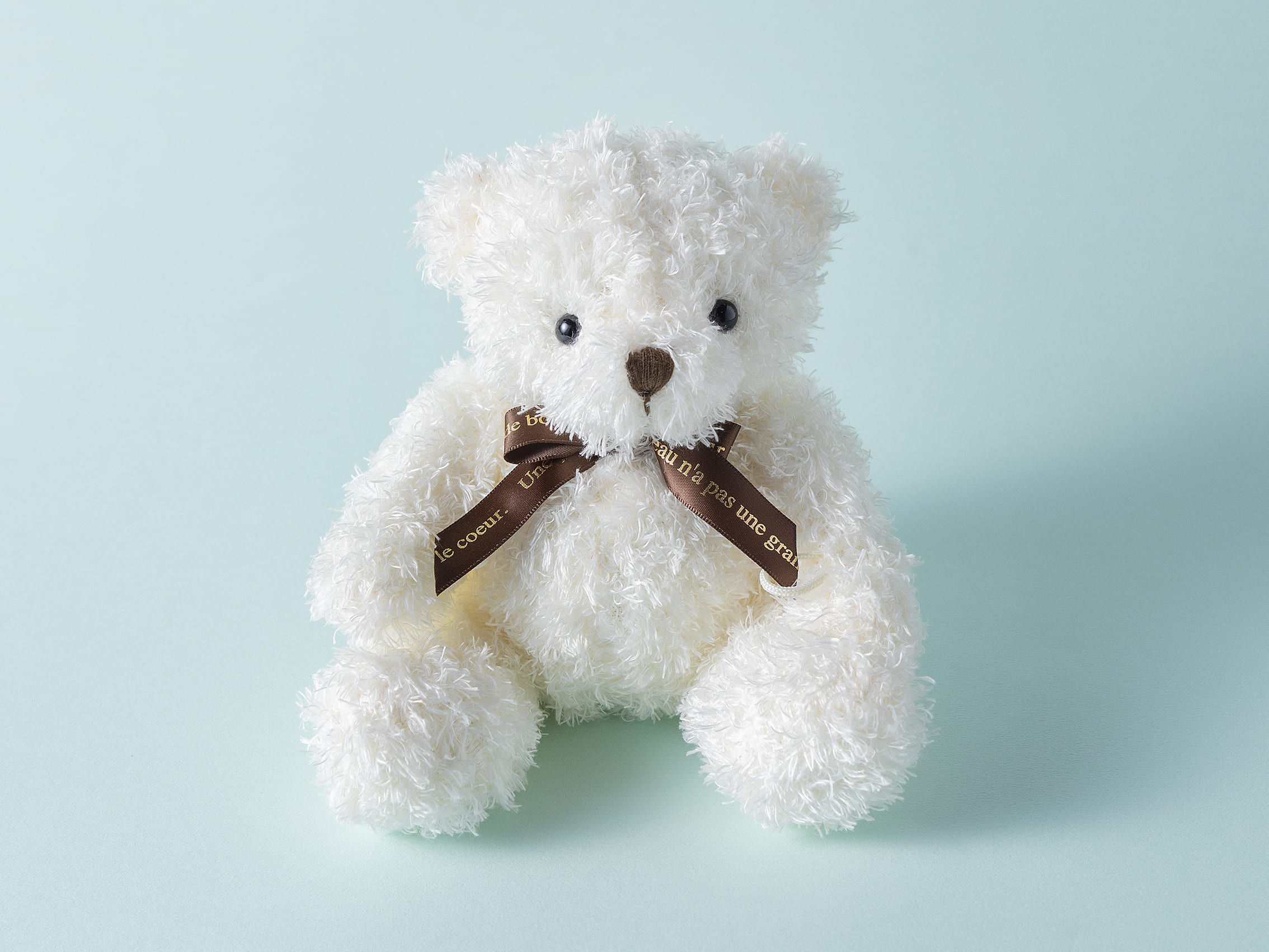 【刻印】フランス産ドラジェ＆テディベアセット【タンプ限定】