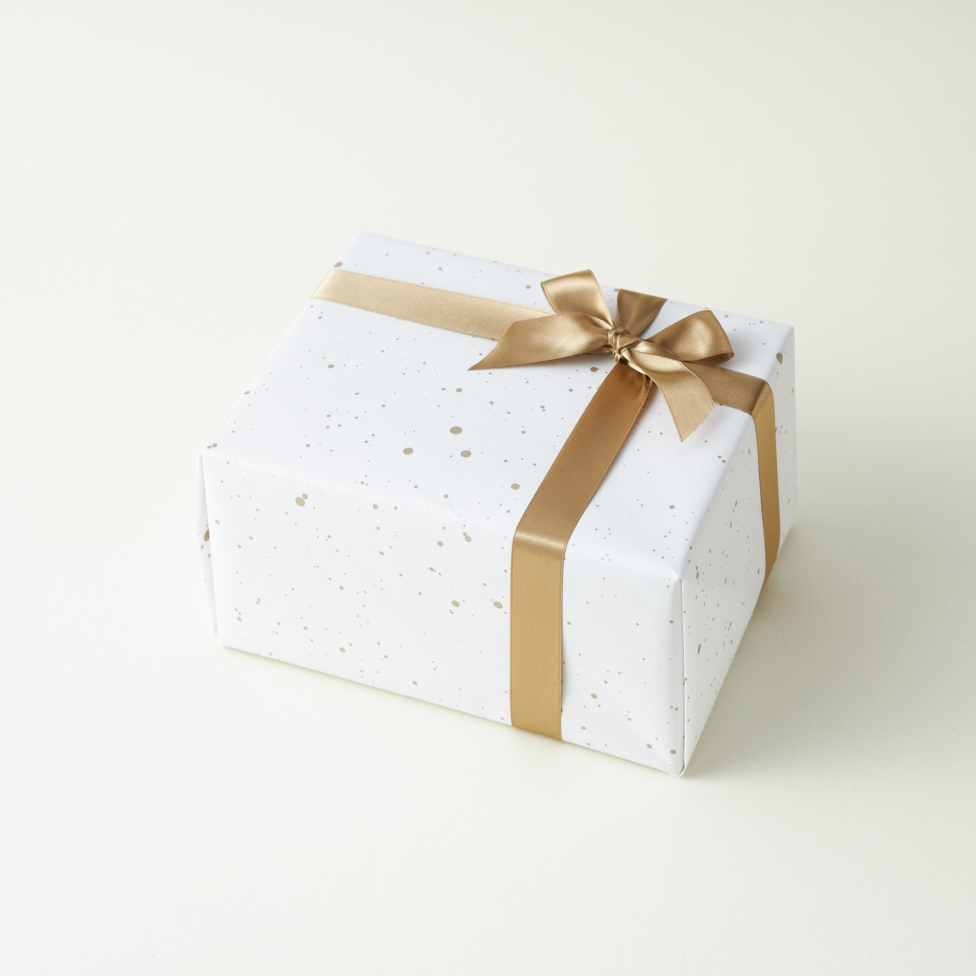 【名入れ/ギフトBOX】ボールペン＆タオルハンカチ（イヌ）セット【タンプ限定】