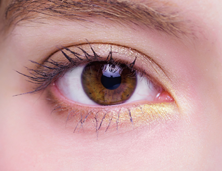 絵画アイシャドウパレット モネコンプリートボックス