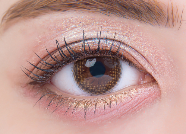 絵画アイシャドウパレット モネコンプリートボックス