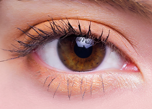 絵画アイシャドウパレット モネコンプリートボックス