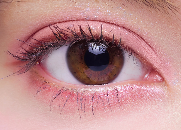 絵画アイシャドウパレット モネコンプリートボックス