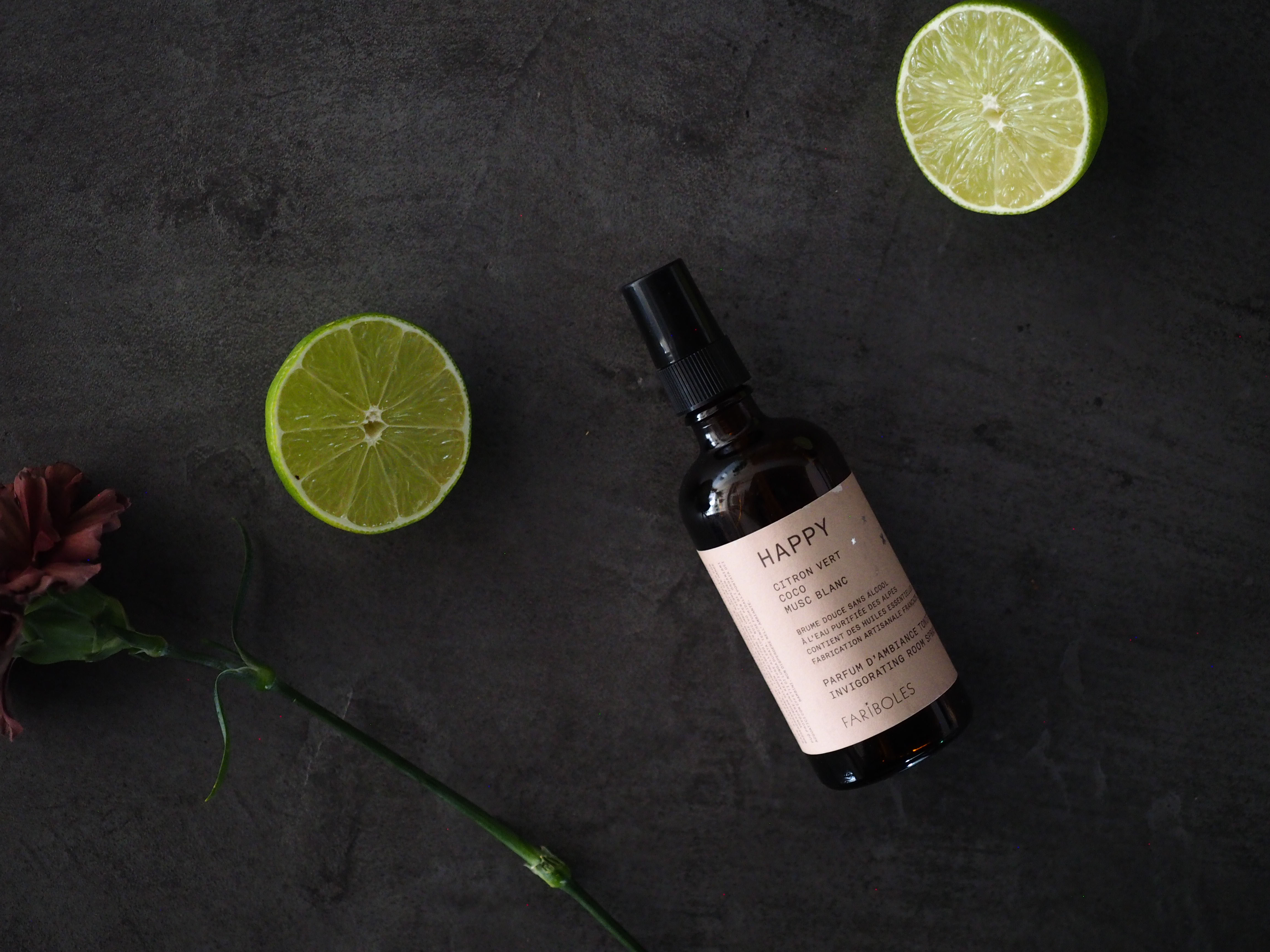 Balancing Room Mist 100ml