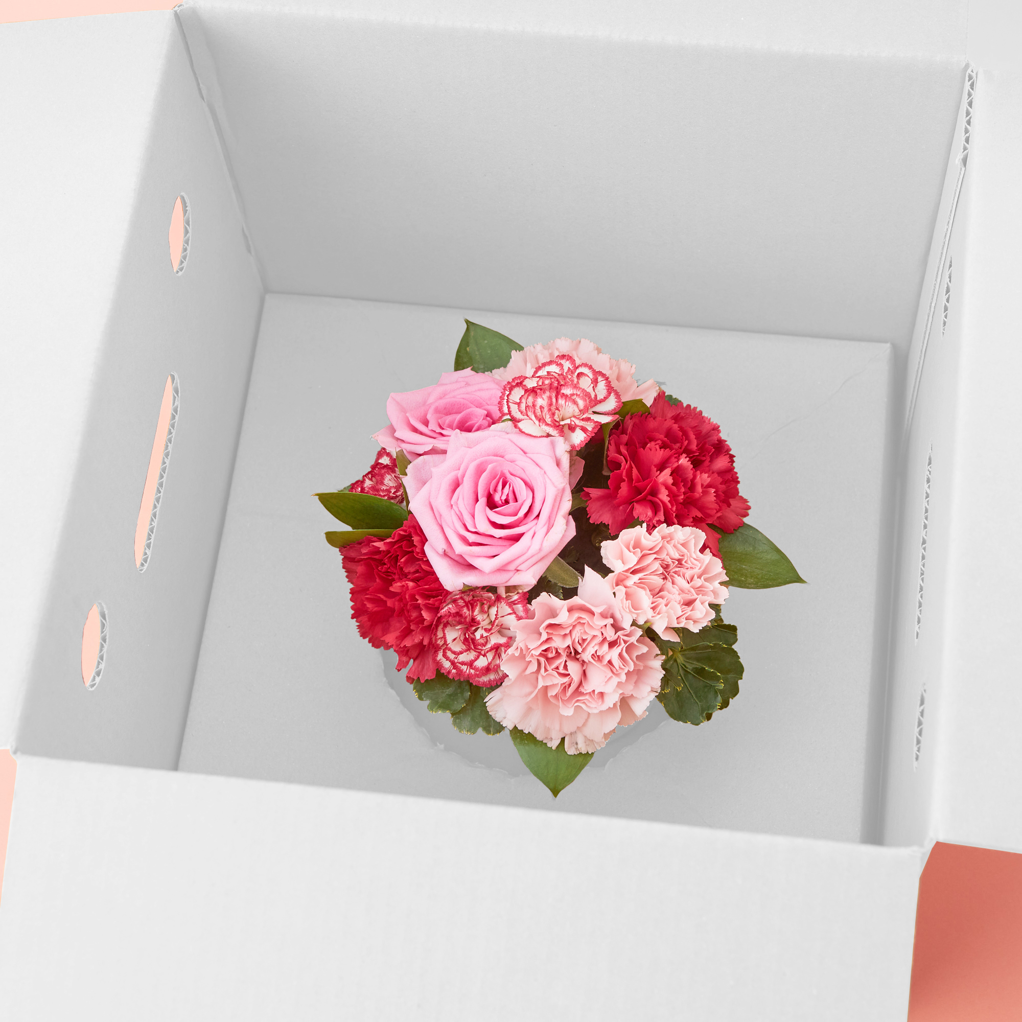 【着日指定可！】GODIVAクッキーと華やかな生花カーネーション アレンジメントのセット【母の日に贈る】