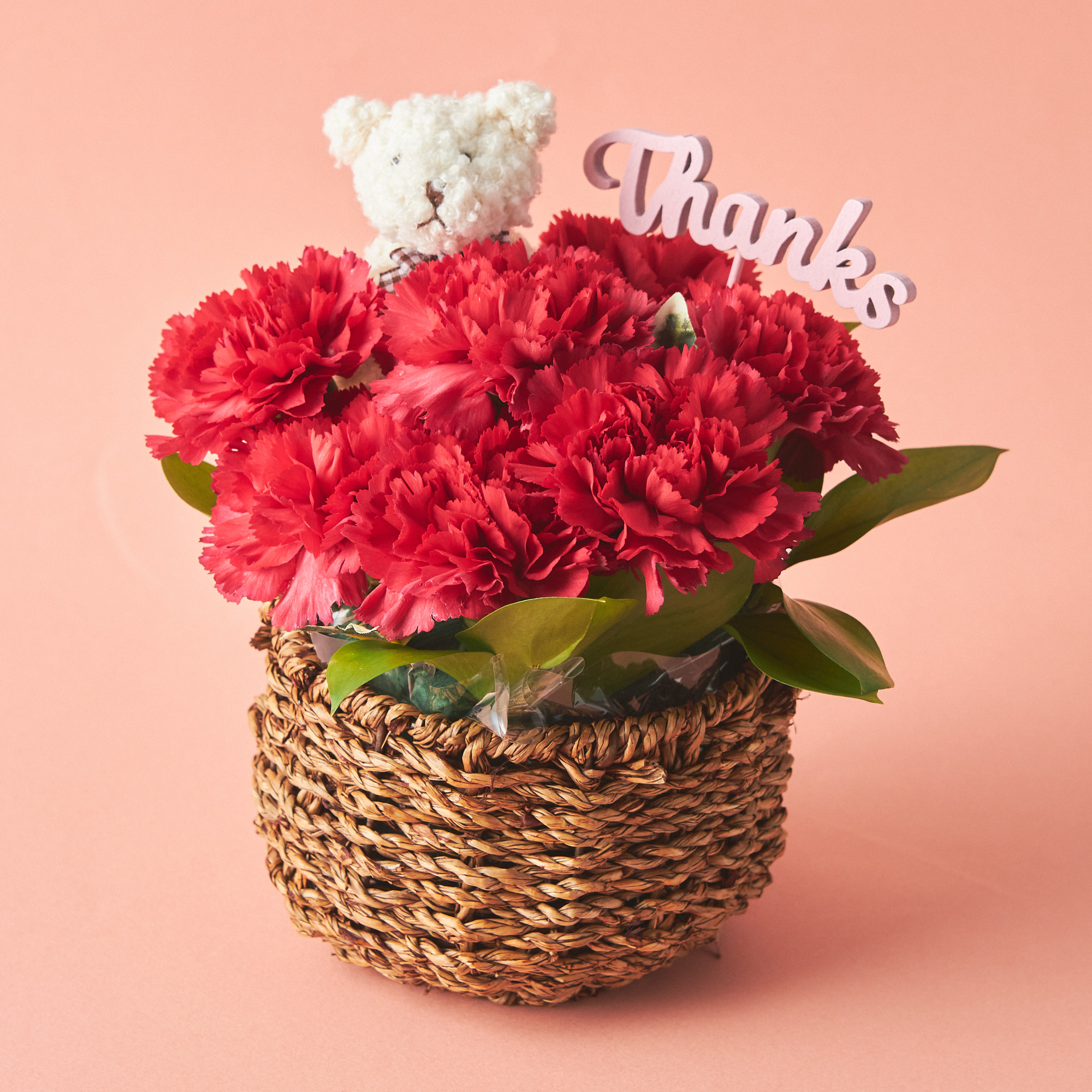【送料無料】選べるケアグッズと可愛い生花カーネーション アレンジメントのセット【母の日に贈る】