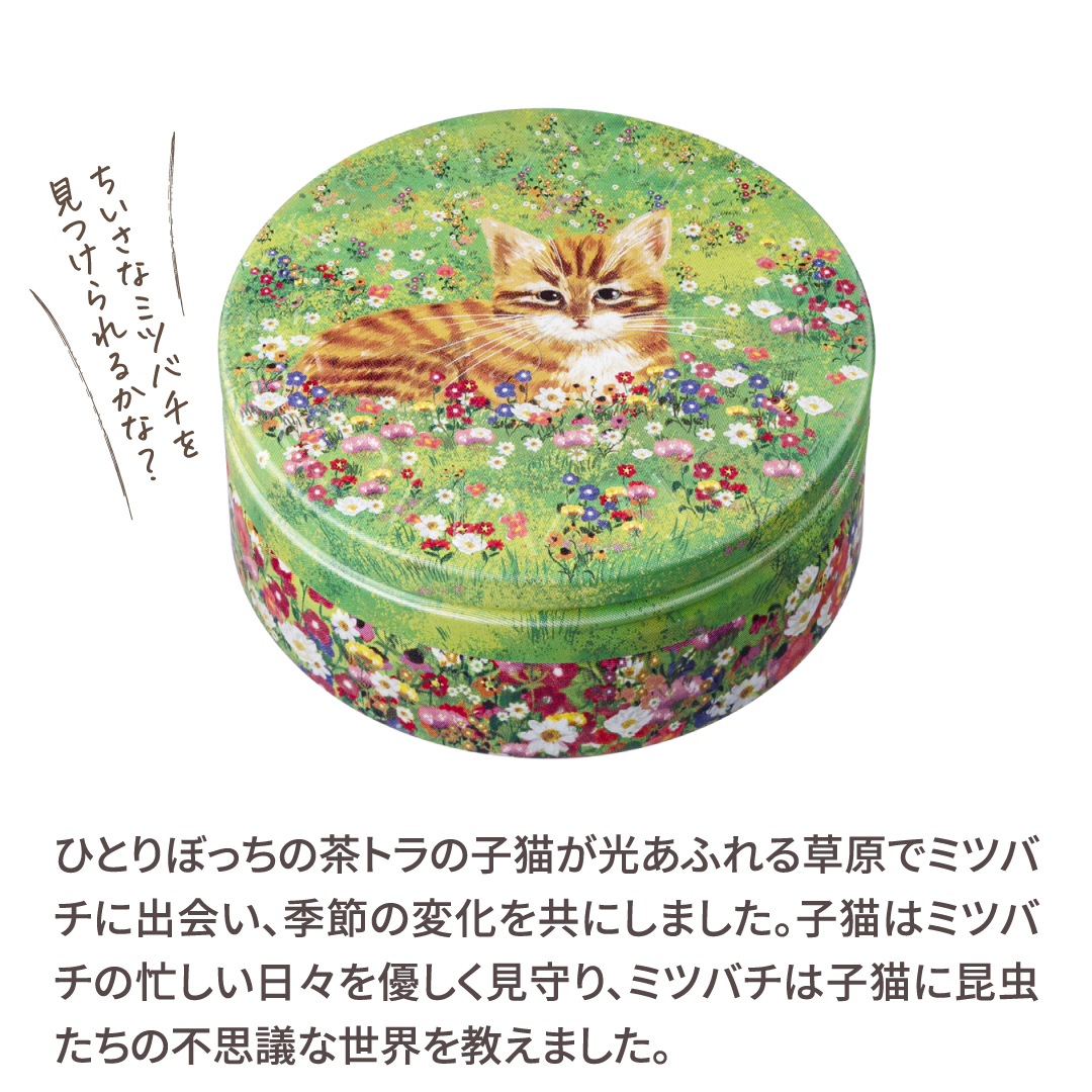 【ギフトBOX付】スチームクリーム