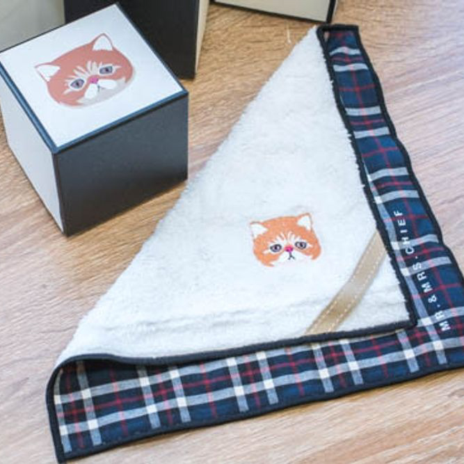 【大人気】ヘアブラシと猫ハンカチ