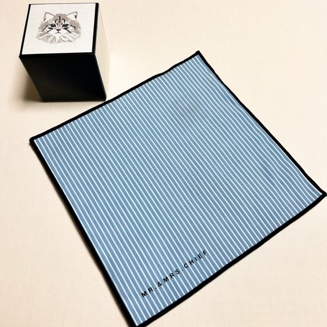 【大人気】ヘアブラシと猫ハンカチ