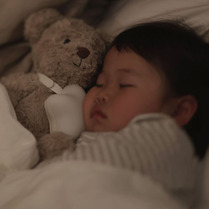 テディベアとえほんライトのセット