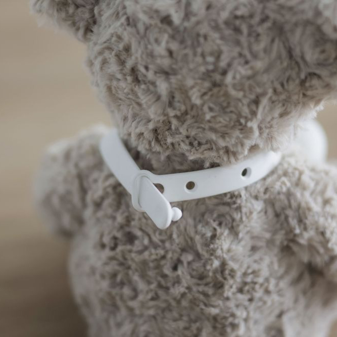 テディベアとえほんライトのセット