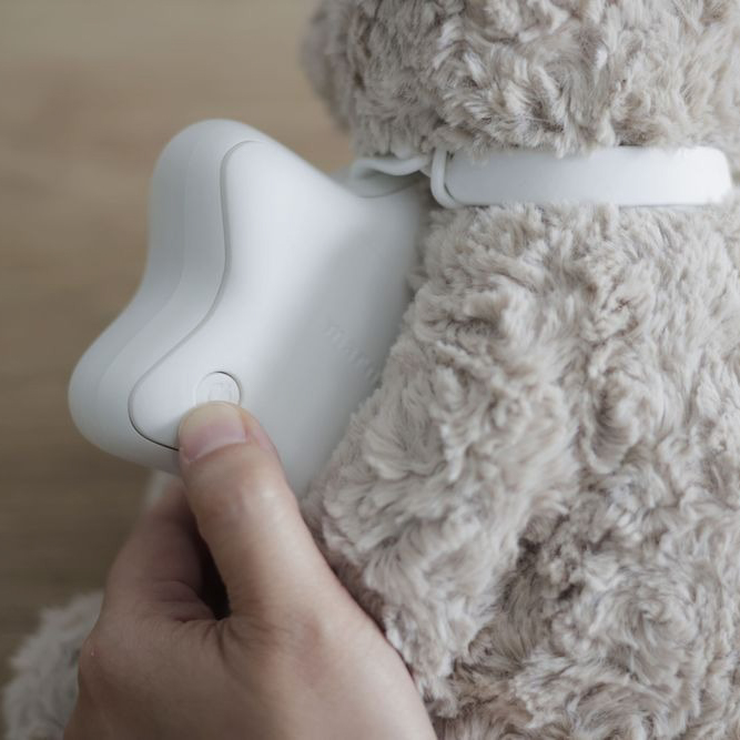 テディベアとえほんライトのセット