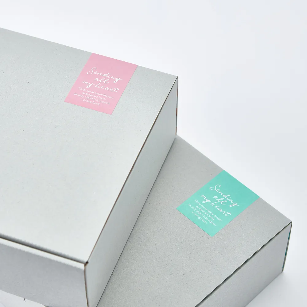 テディベアとえほんライトのセット