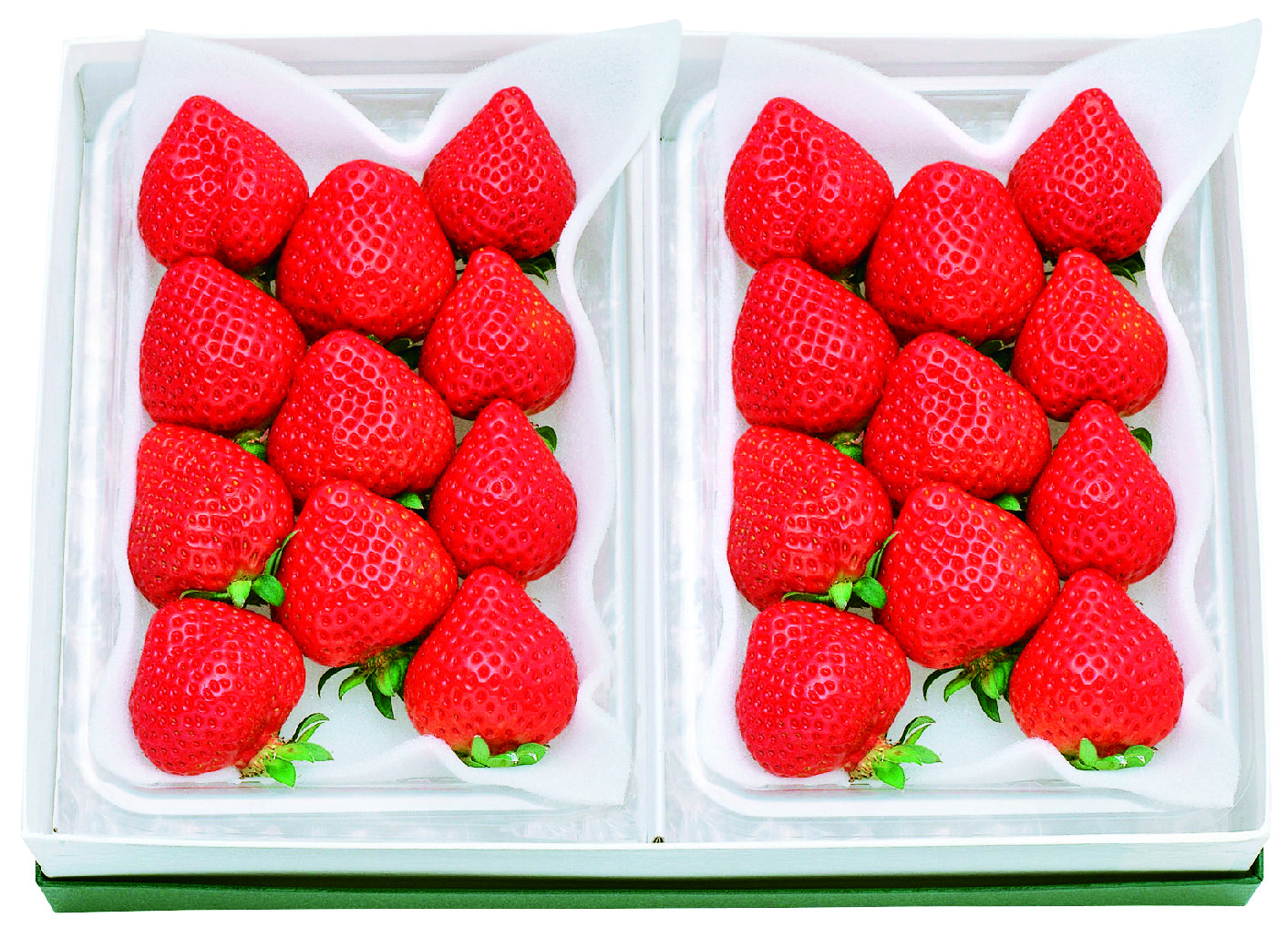 フルーツチョイス e-order choice＜F10-C＞