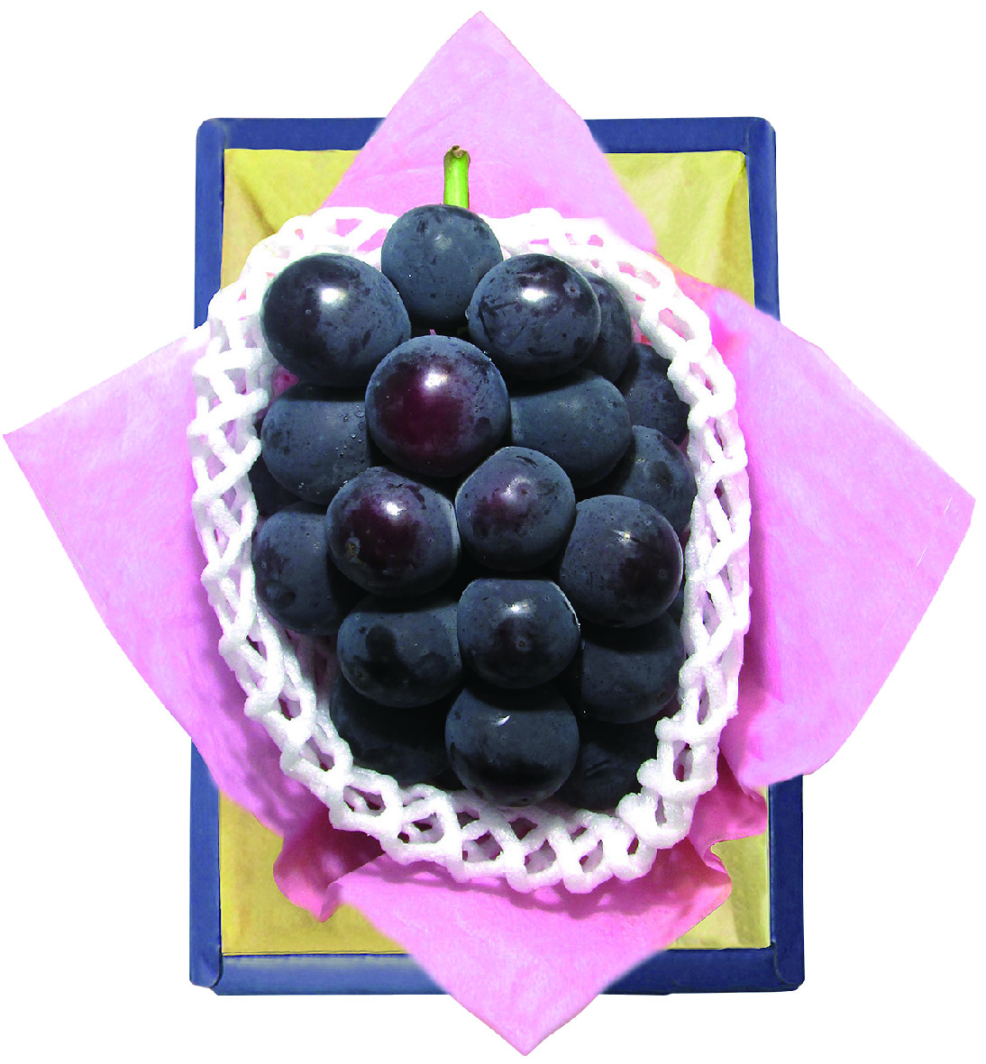 フルーツチョイス e-order choice＜F10-C＞
