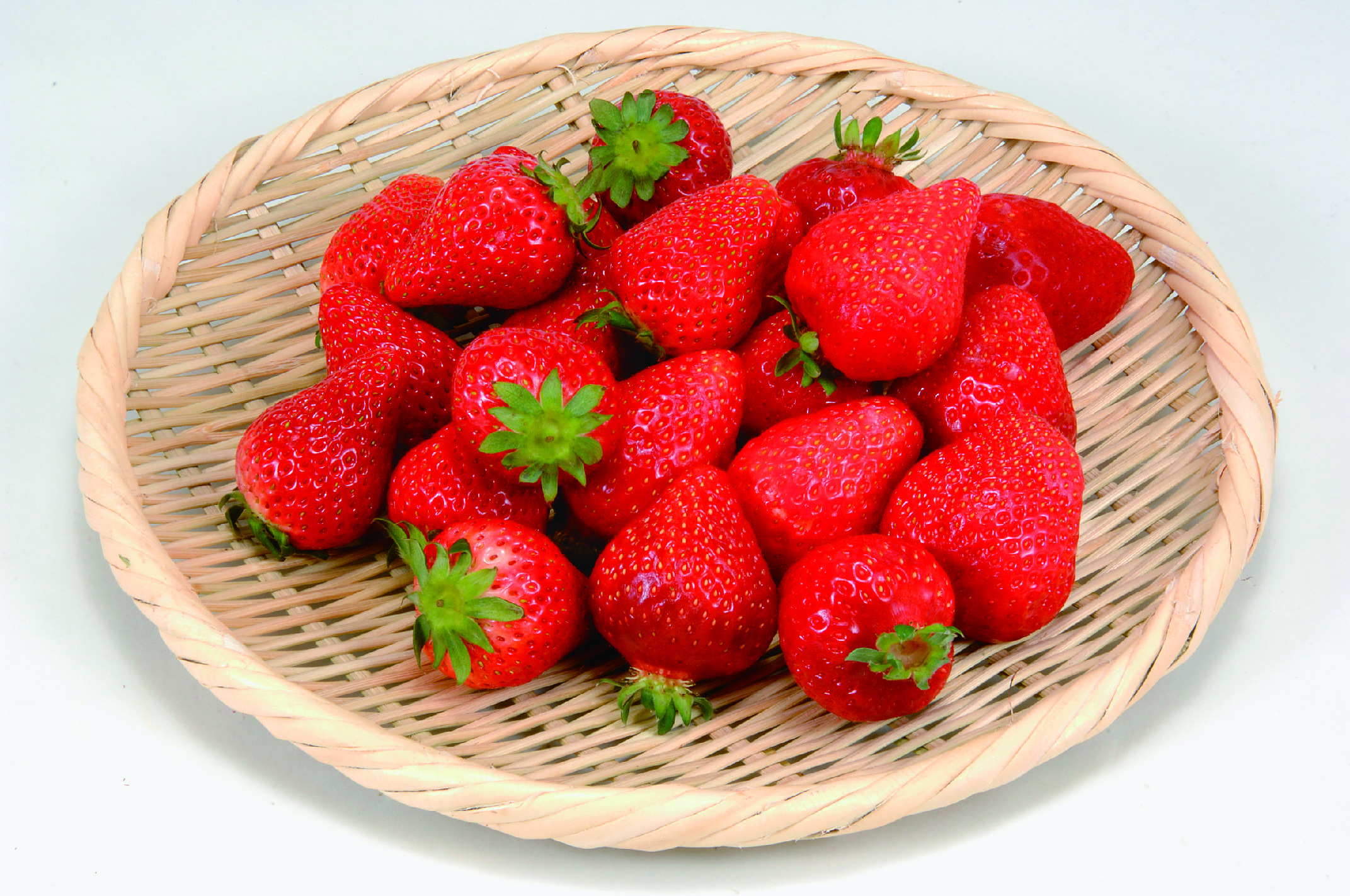フルーツチョイス e-order choice＜F10-C＞