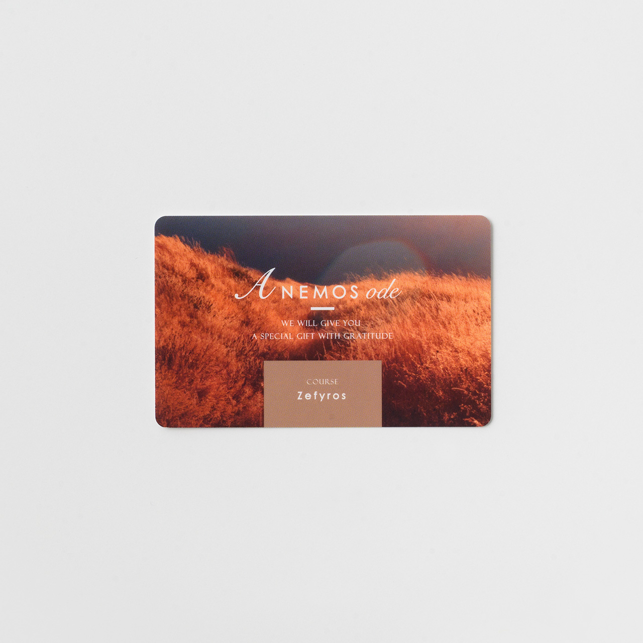 〈Zefyros〉 ゼーフィロス