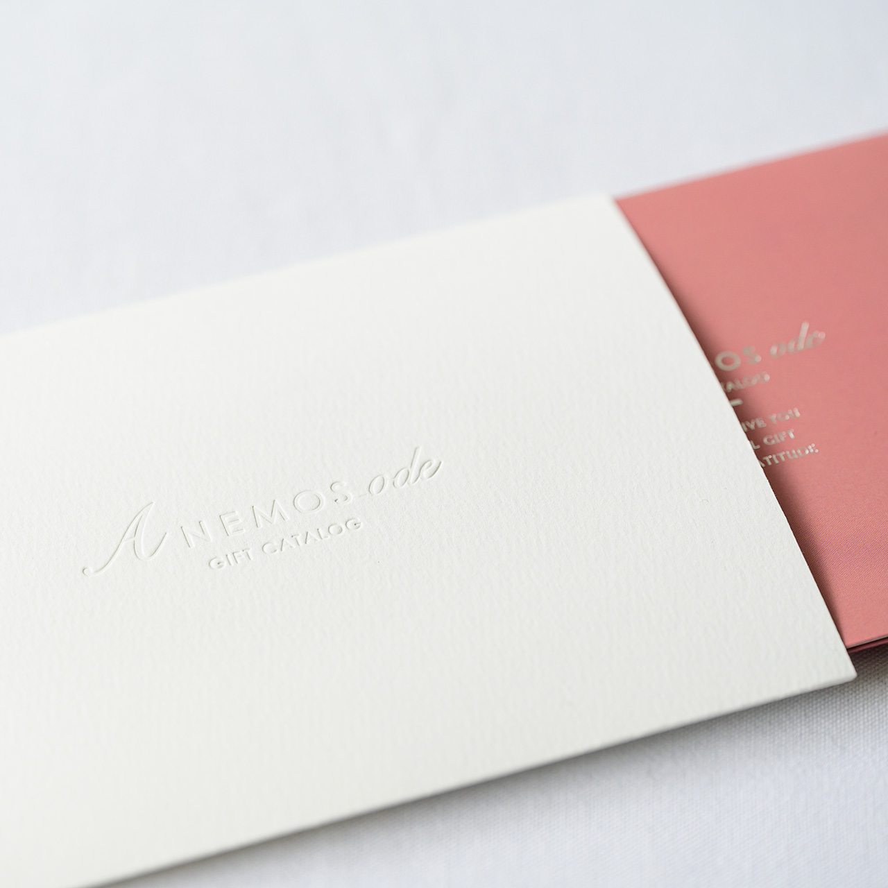 〈Notios〉 ノーティオス