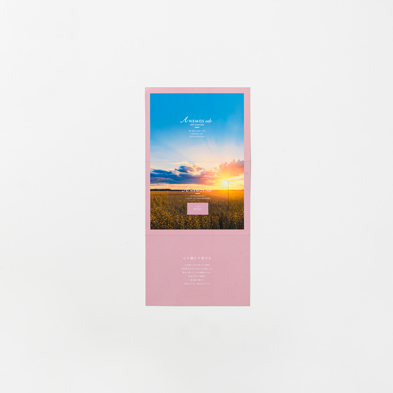 〈Notios〉 ノーティオス