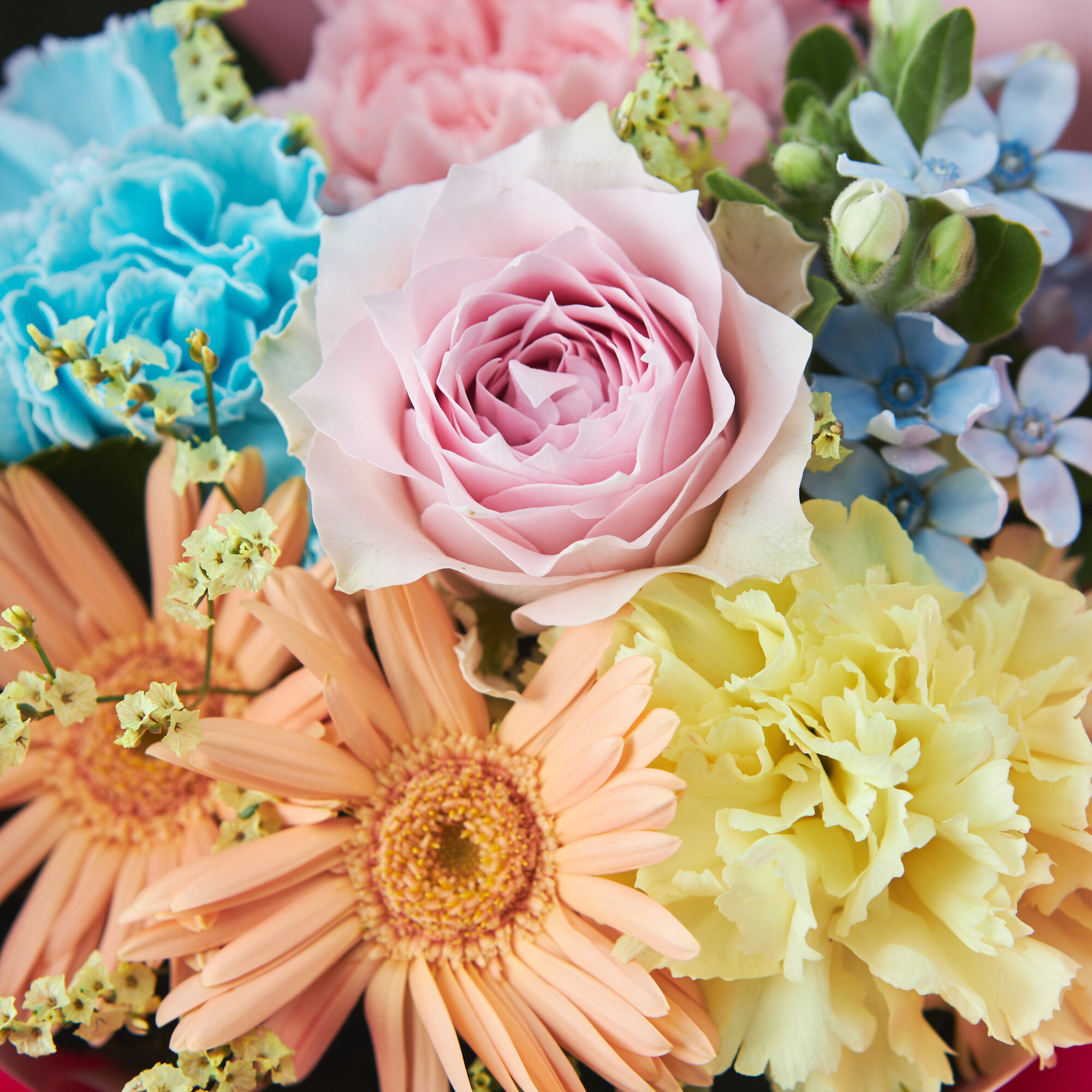 【送料無料！配送指定可】誰かに贈りたくなるそのまま飾れるブーケ