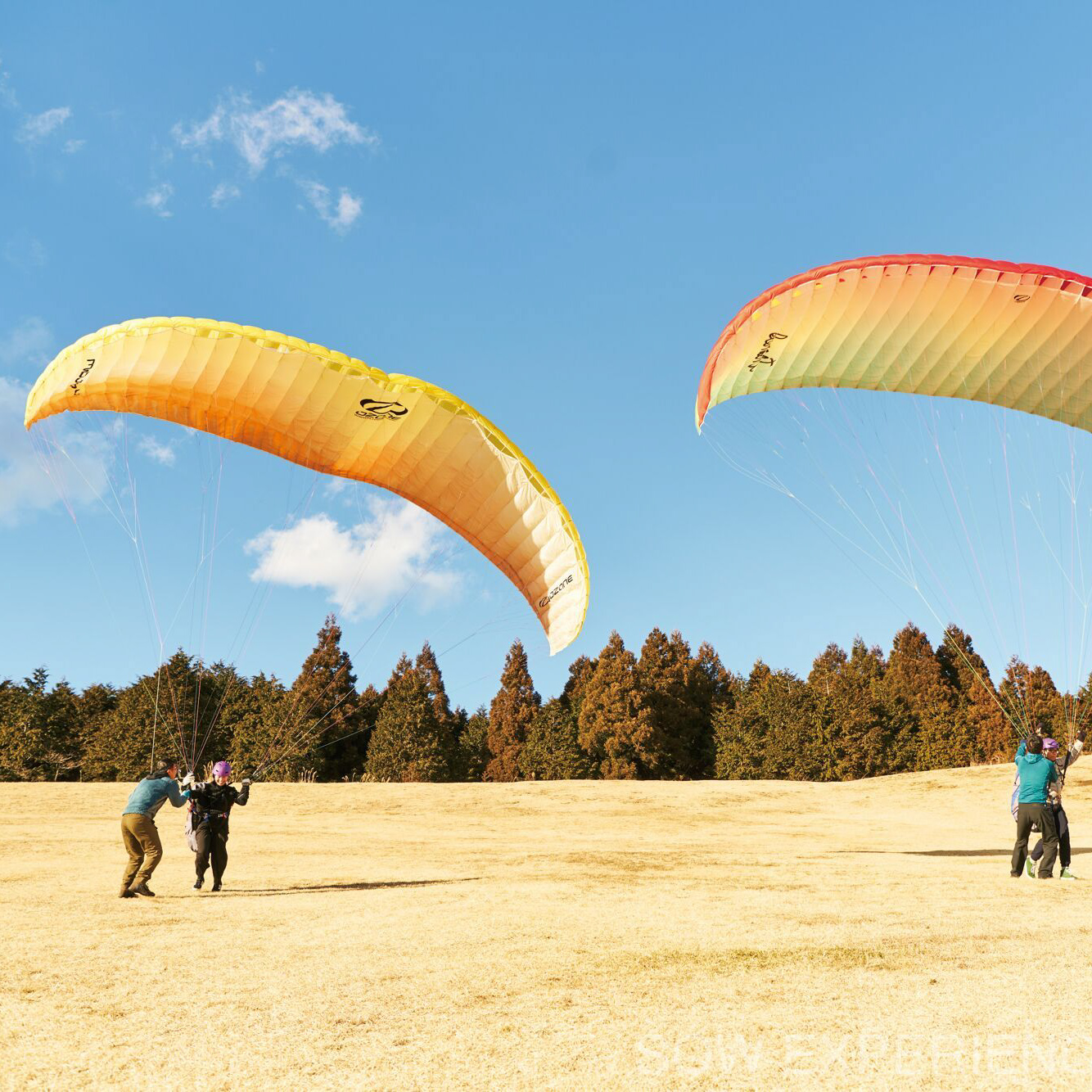 【結婚祝い・名入れ】ペアガラスタンブラー&選べる体験カタログギフトセット