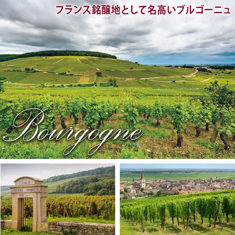 【ワインとお花のギフト】南フランスのロゼワイン グルナッシュとプリザーブドフラワー