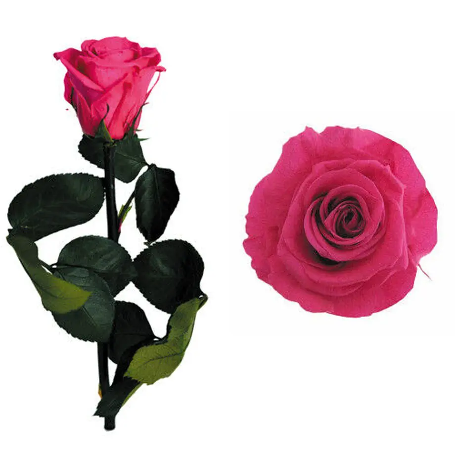 【ワインとお花のギフト】南フランスのロゼワイン グルナッシュとプリザーブドフラワー