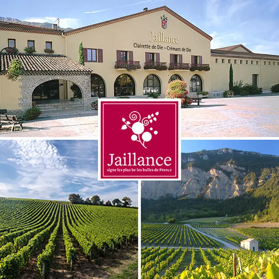 【スパークリングワインと生花のギフト】ビオスパークリングとフラワーアレンジメント