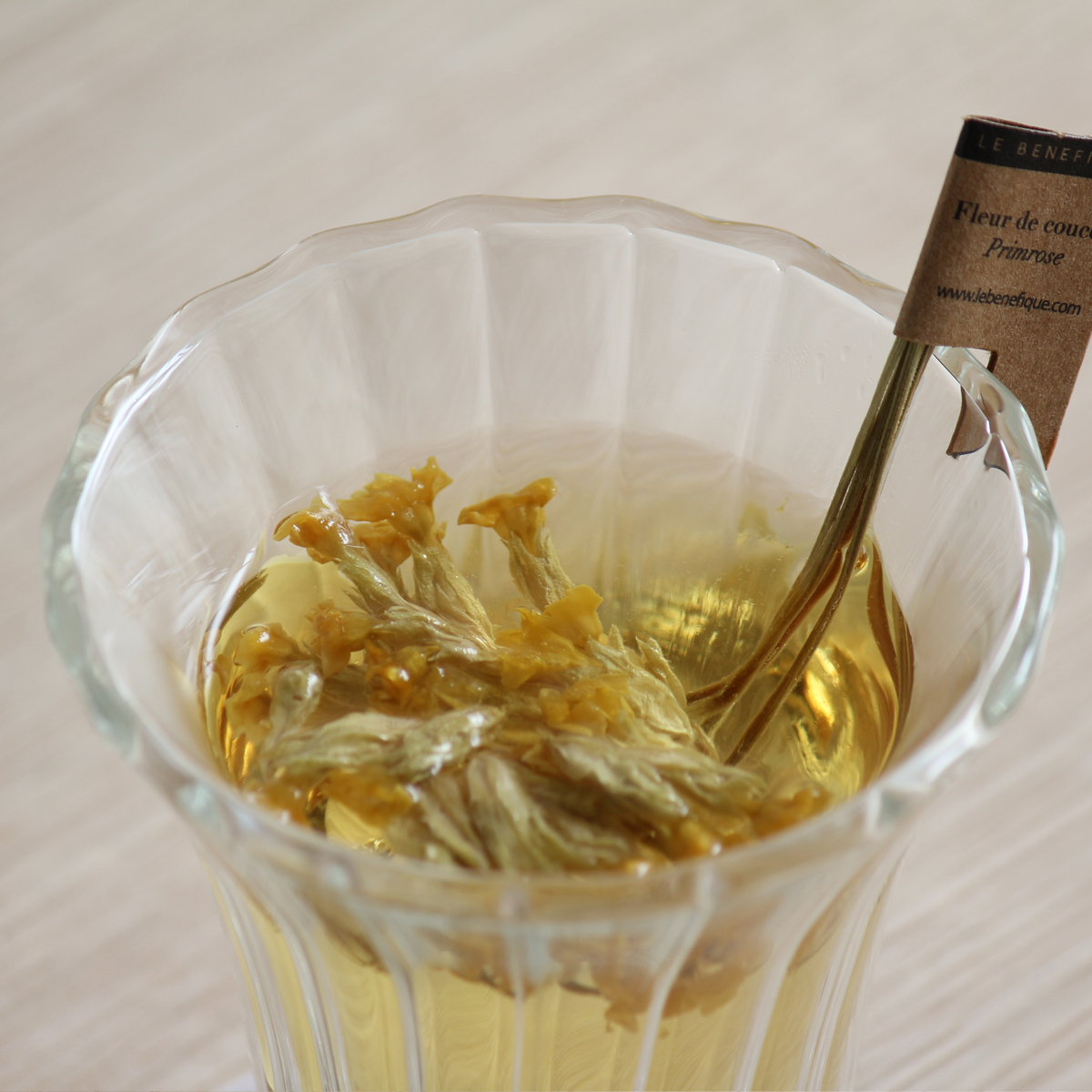 セレブレーション [Celebration]＋ダブルウォールグラス1個セット