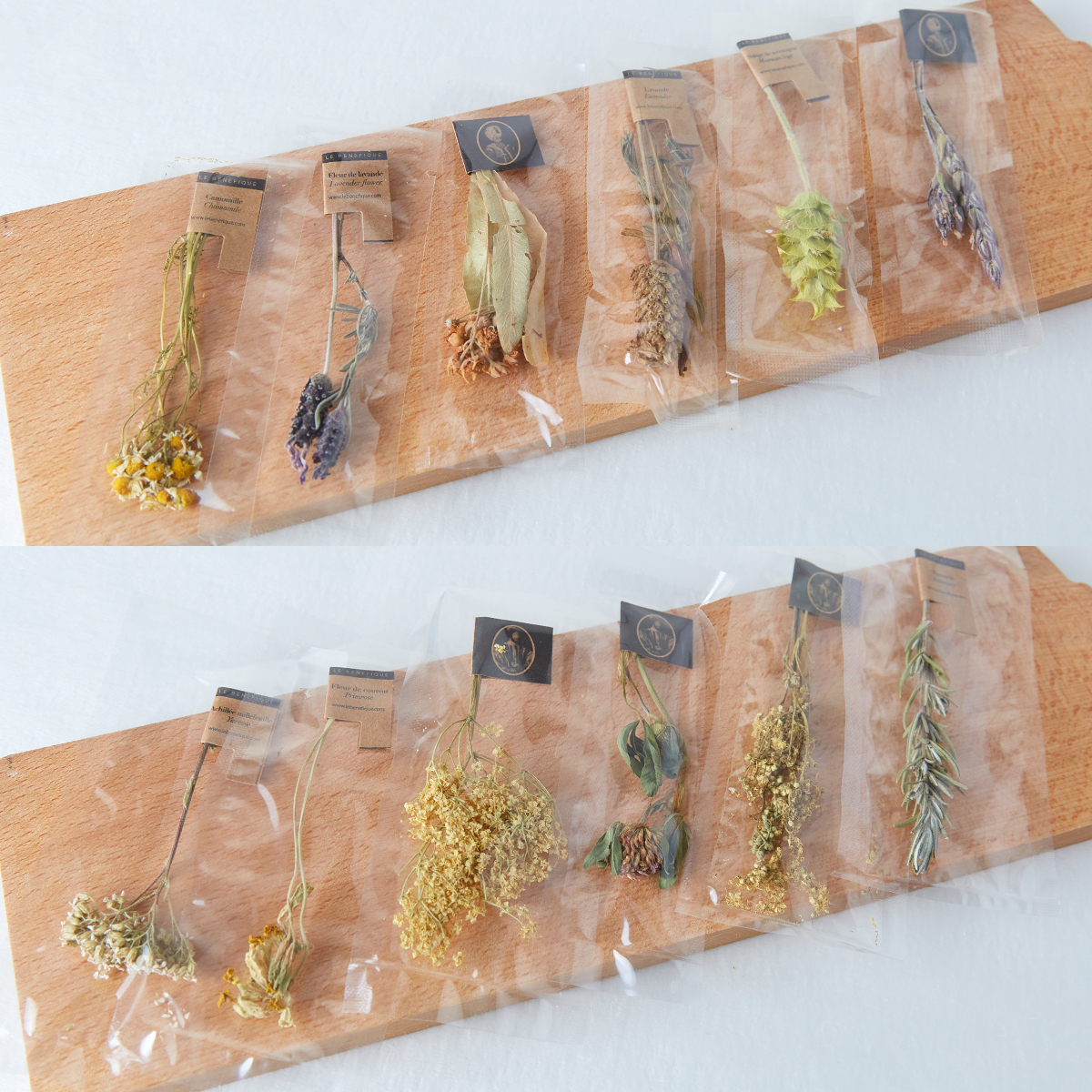 セレブレーション [Celebration]＋ダブルウォールグラス1個セット