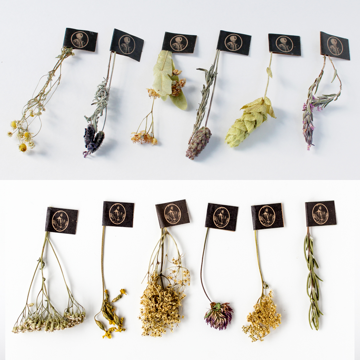 セレブレーション [Celebration]＋ダブルウォールグラス1個セット