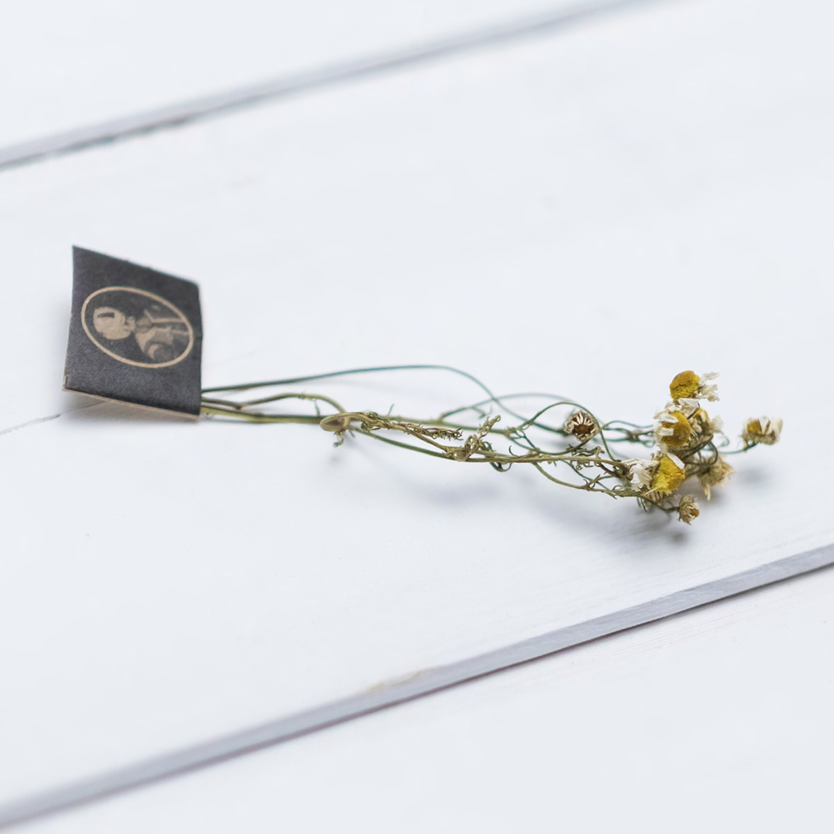 カモミール＋ダブルウォールグラスセット