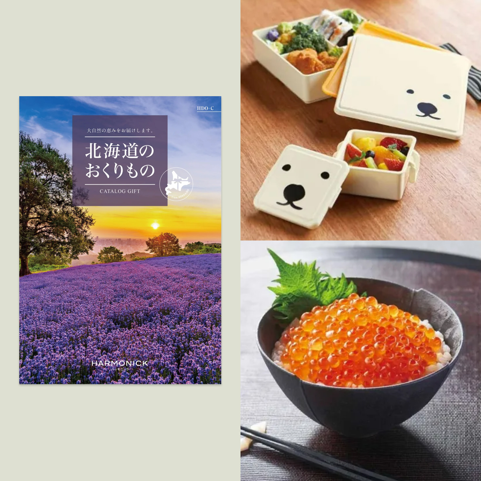 北海道のおくりもの HDO-Cコース