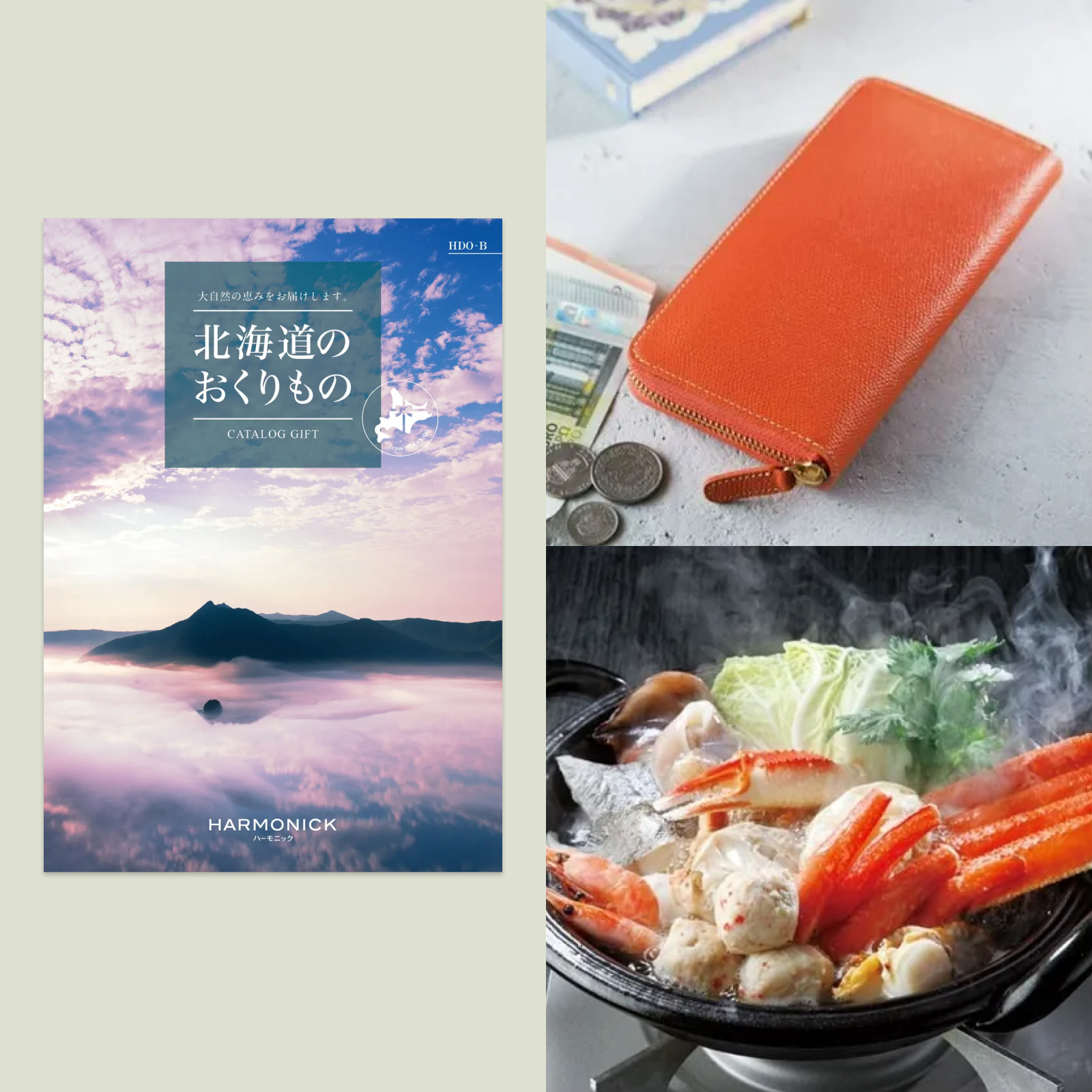 北海道のおくりもの HDO-Bコース