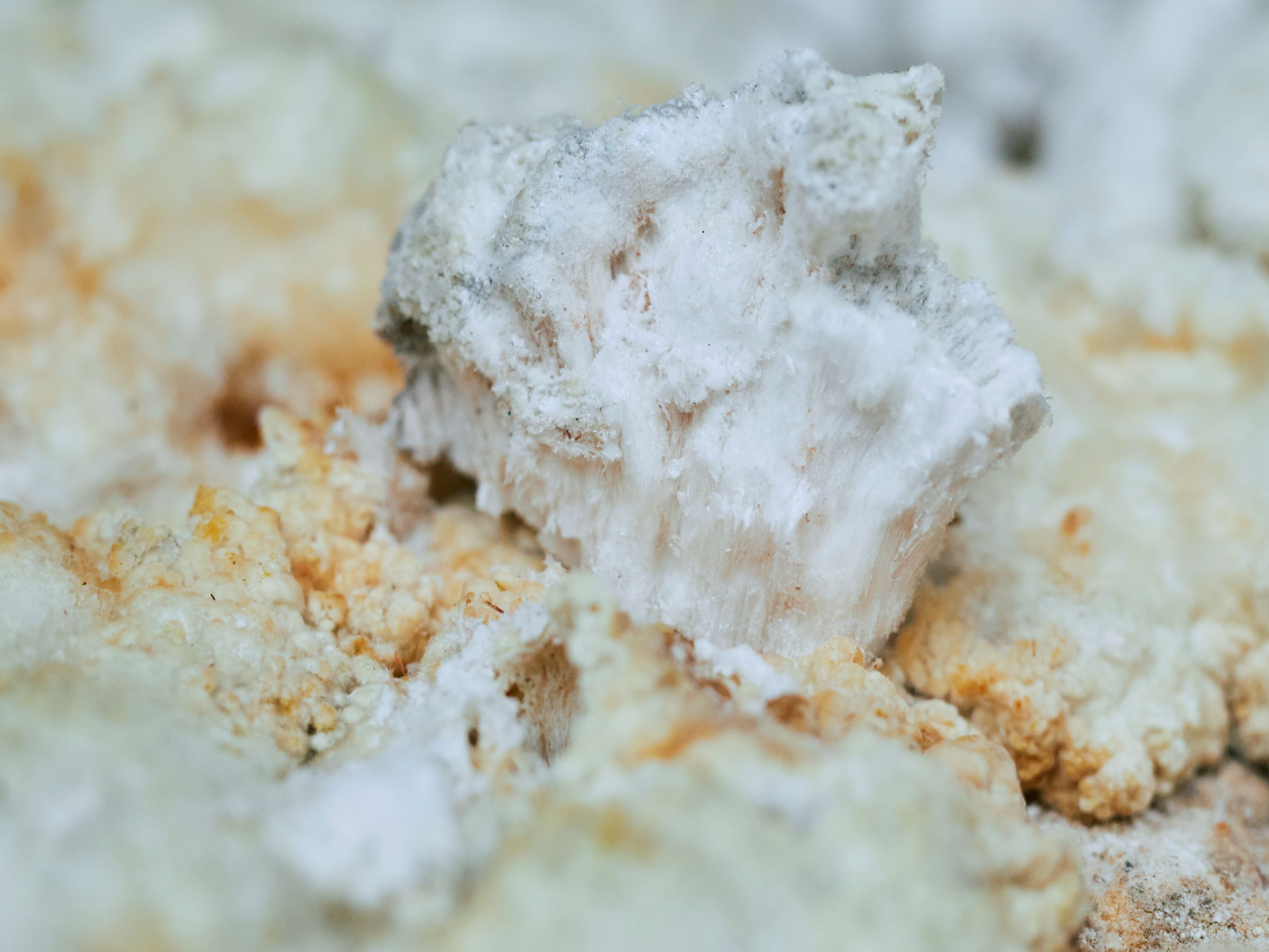 【出産内祝い・名入れ】限りなく天然温泉に近い入浴剤「HAA for bath 日々」