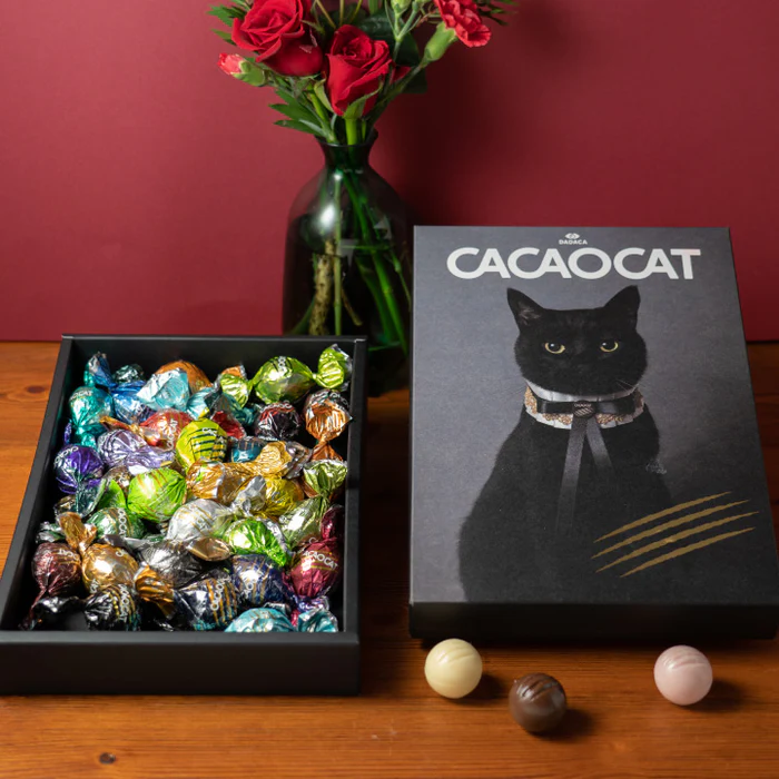 CACAOCAT ミックス 24個入り | DADACA（ダダカ）のプレゼント