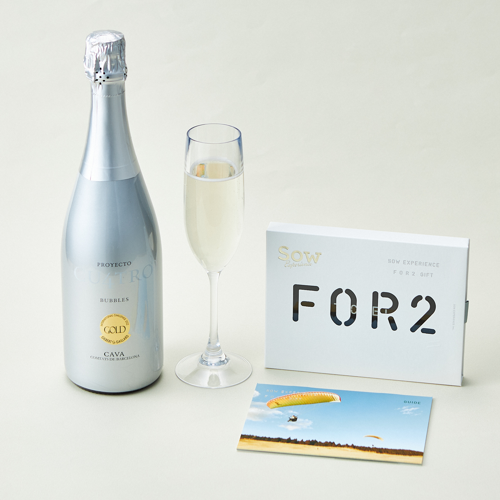 ANGEL えんぱいあ 白 シャンパン スパークリング 【未開封•箱付き】 